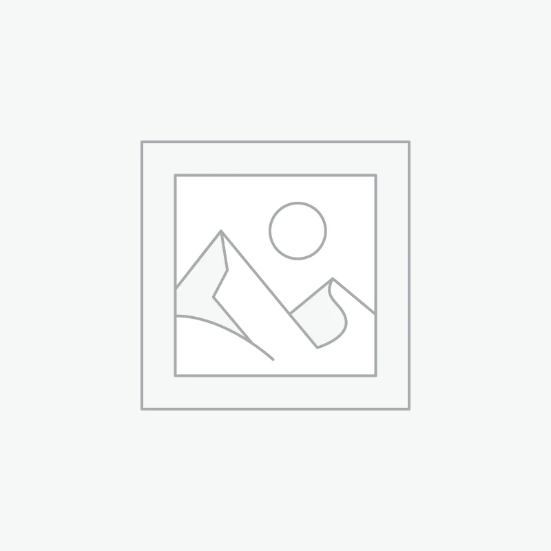 Gundam Decals 041 MG 1/100 Gelgoog 2.0 / Char's Zaku 2.0