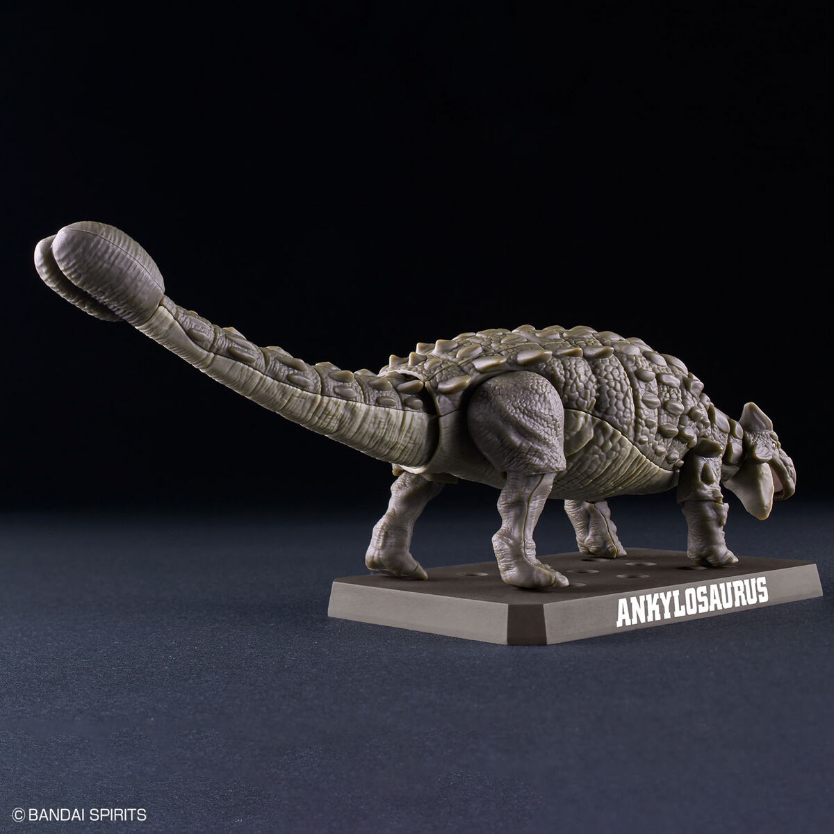 Plannosaurus - 06 - Ankylosaurus – Image 3