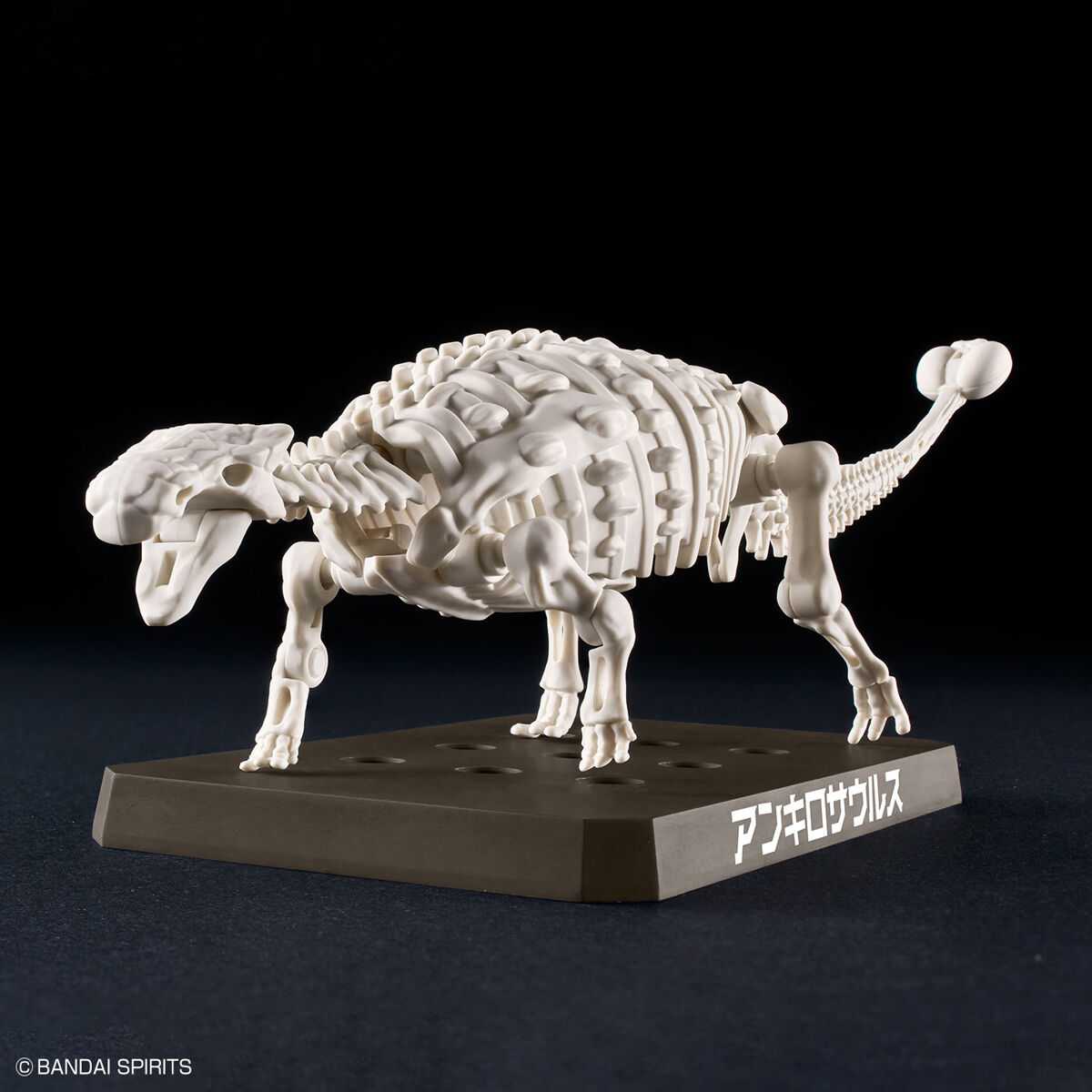 Plannosaurus - 06 - Ankylosaurus – Image 8