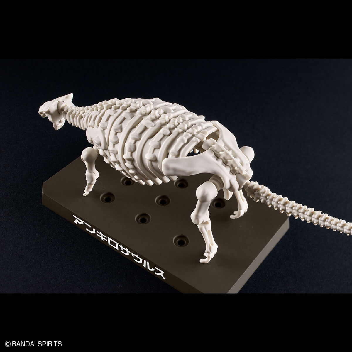 Plannosaurus - 06 - Ankylosaurus – Image 4